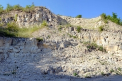 PALEO_outcrop3-strona-IPAL